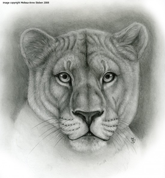 Lioness_Animal_Symbolism_by_Art_of_Sekhmet