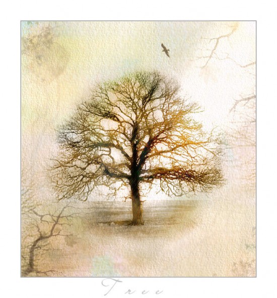 _Tree__by_Edonist_Girl