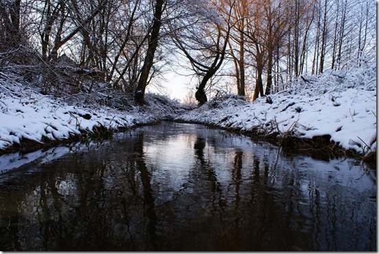 Czechowka_River_2_by_mysterious_one