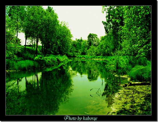 Summer_green_river_by_kaborge