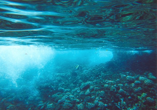 underwater_craziness