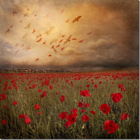 Landscape_with_red_birds_by_Floriandra