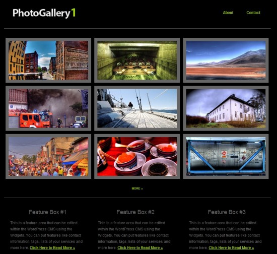 Photo Galler 1 wp premium portofolio template