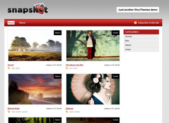 Snapshot wp premium template