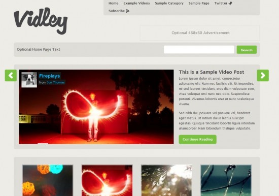 Vidley wp theme