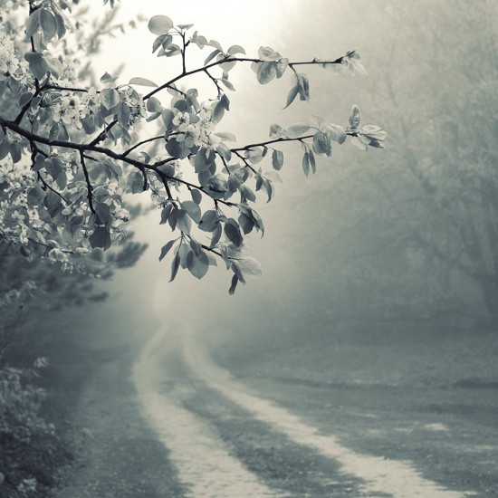 foggy_road_by_leenik