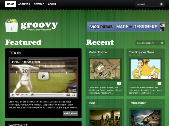 groovy video wp template