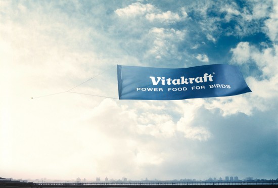 Vitakraft Power food for birds