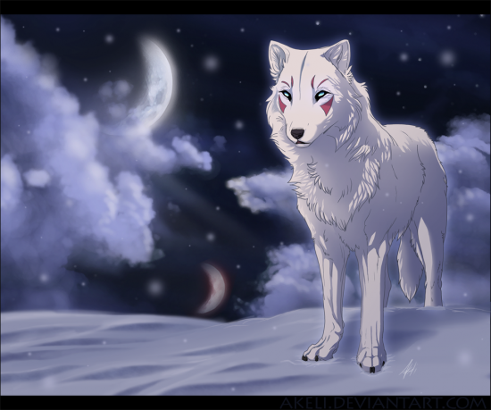 Snow_Wolf_by_akeli