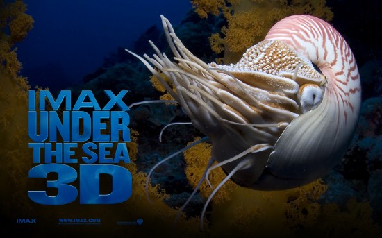 Under_the_Sea_3D_Wallpaper_2_1280