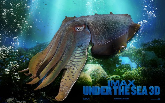 Under_the_Sea_3D_Wallpaper_5_1280