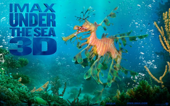 Under_the_Sea_3D_Wallpaper_6_1280