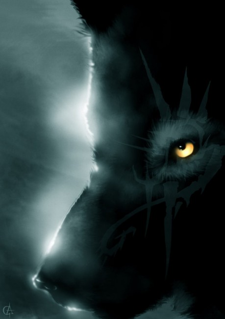 __Wolf___by_Knarf2Gondolin