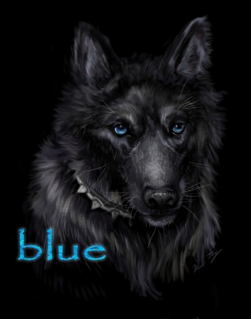 Wolf__s_Rain_Blue_____by_Miki_