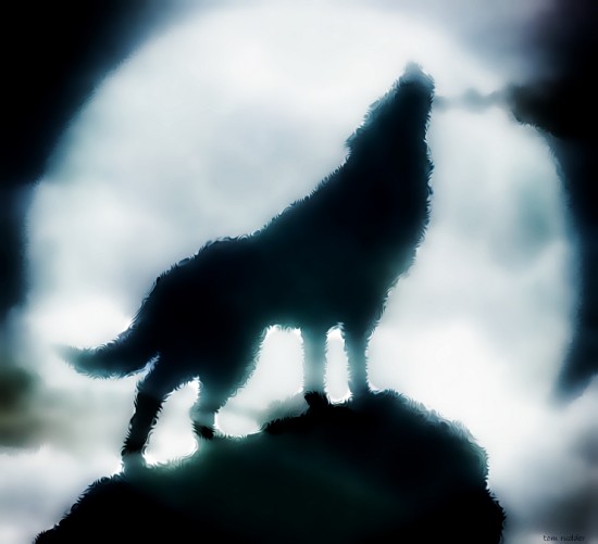 Wolf_by_TomBebop