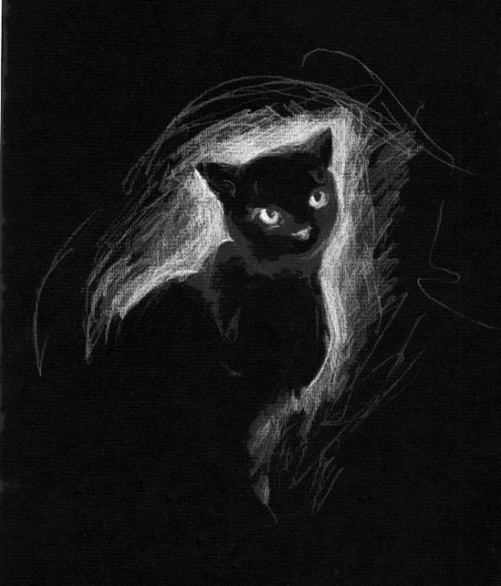 black_cat_by_H_Johanna