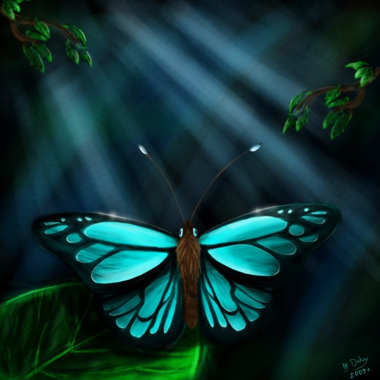 Butterfly_by_Dzhay