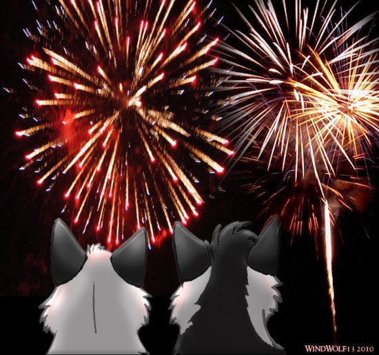 Fireworks_by_WindWolf13