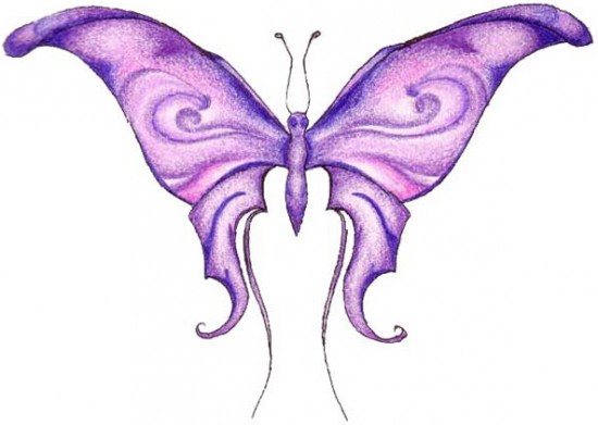 butterfly2