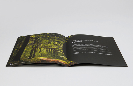 Designing a Brochure – Important Guidelines